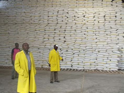 Government Will Pay Farmers Sh5 600 For Maize NCPB