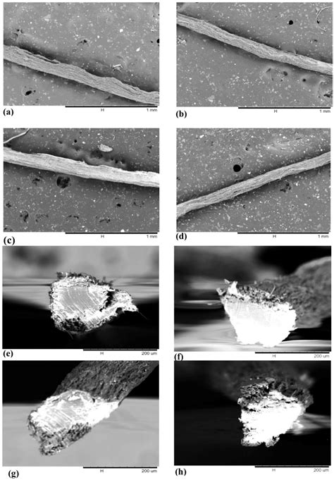 Polymers Free Full Text Dry Spun Neat Cellulose Nanofibril