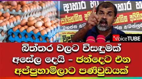 බිත්තර වලට විසඳුමක් අසේල දෙයි ඡන්දෙට එන අප්පුහාමිලාට පණිවුඩයක් Youtube