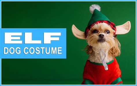 Dog Elf Costume - Let Your Dog Get Into The Holiday Spirit! - Dogbells