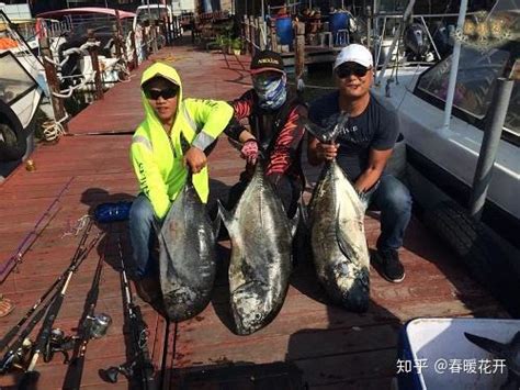 三亚游艇海钓实拍亲身体验南海著名钓场131油井 知乎