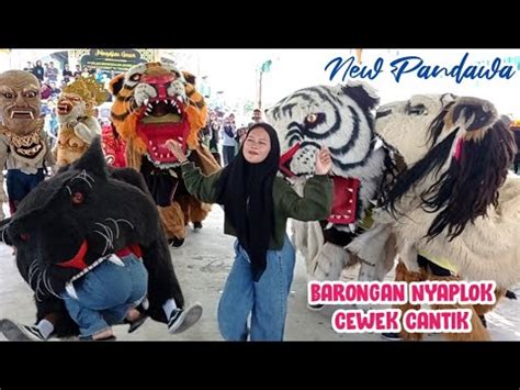 Sambil Goyang Cewek Dicaplok Barongan New Pandawa Di Sidoarjo Guntur