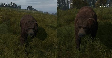 DayZ Bear Guide: Spawns, Tactics for Hunting & Surviving Attacks