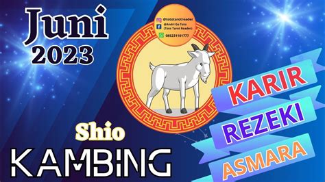 Shio KAMBING Bulan JUNI Ramalan Kehidupan REJEKI KARIR Asmara