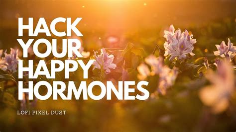 Hack Your Happy Hormones Self Care Tips To Improve Your Mental