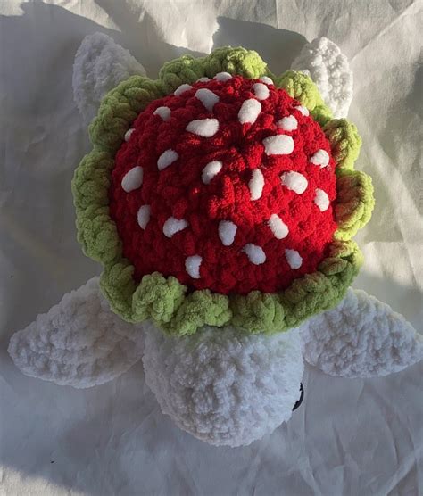 Crochet Strawberry Turtle Red Or Pink Etsy