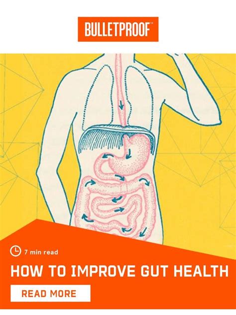 Bulletproof How To Improve Your Gut Health Milled