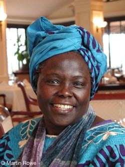 Seeds of Inspiration: Books for Children and Young Adults about Wangari ...