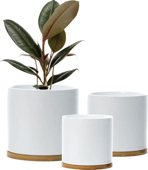 La Jol E Muse White Ceramic Flower Pot Garden Planters Cm Pack