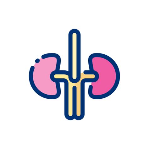 Kidneys Free Icon