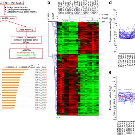 Genome Wide Gene Expression Analysis Defines The Developing Human Download Scientific Diagram