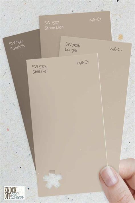 Sherwin Williams Shiitake SW 9173 Your Best Beige For A Paint