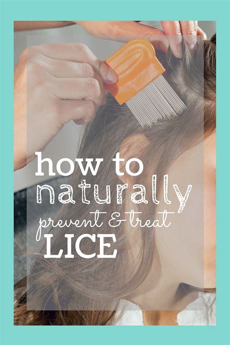 Home Remedies For Head Lice {that Actually Work } Brea Getting Fit