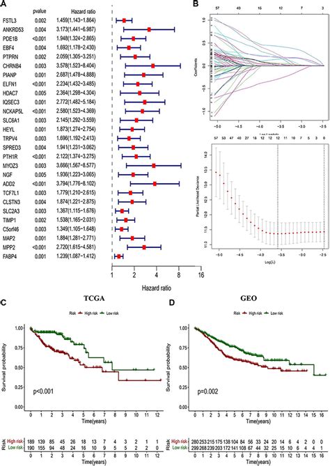 Frontiers Identification Of Hub Genes Related To Cd Memory T Cell