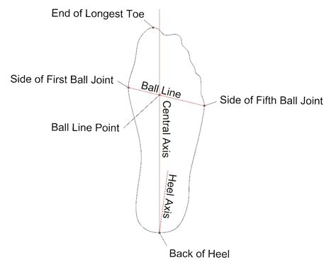 Getting Foot Measurements From A Foot Tracing