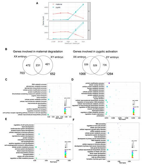 Biology Free Full Text Sexually Dimorphic Gene Expression In X And