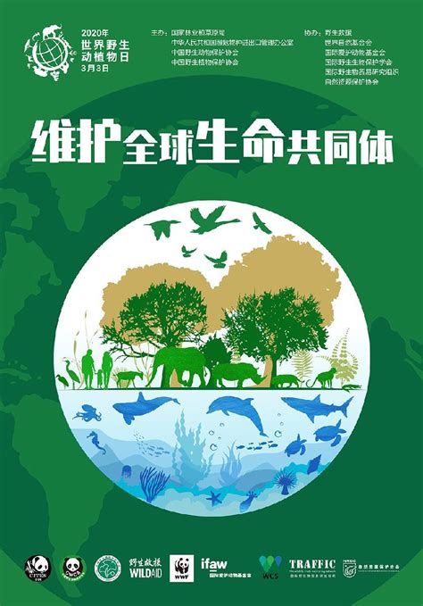 中国野生动物保护协会组织开展2020年世界野生动植物日主题宣传活动 isenlin cn