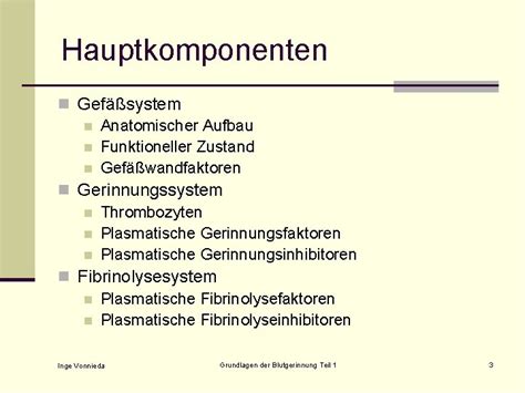 Grundlagen Der Blutgerinnung Teil Aufgaben Und Ablauf