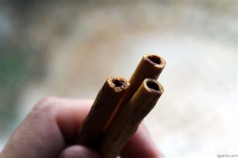 Pepero Nude Chocolate Iguaria Receita E Culin Ria