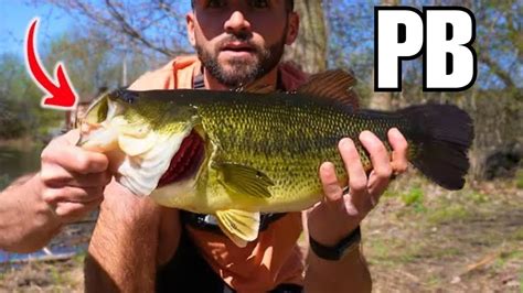 Sight Fishing Big Largemouth Bass On Beds Bass Manager The Best