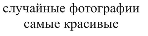 Наклейка случайные фотографии PNG - AVATAN PLUS