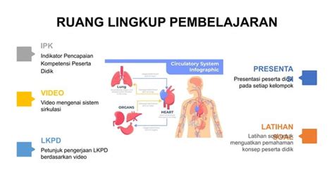 Ppt Peredaran Darahpptx