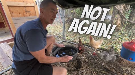 Another One Bites The Dust! - YouTube