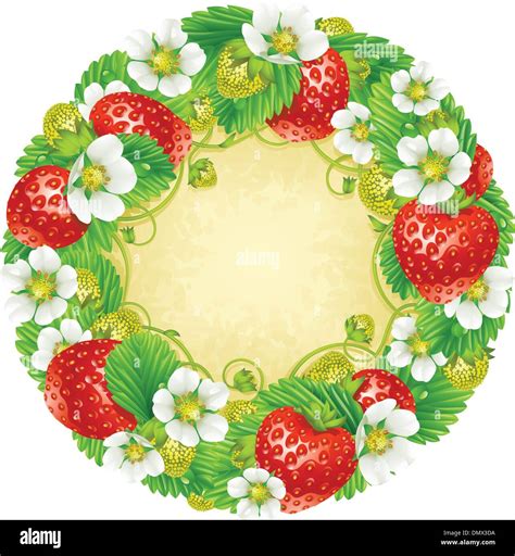 Strawberry Circle Frame Red Berry And White Flower Stock Vector Image