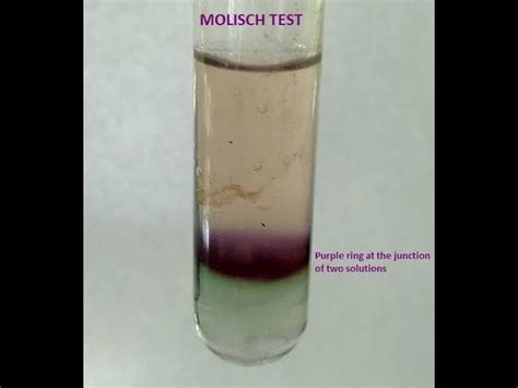 Molisch Test For Carbohydrates Pdf