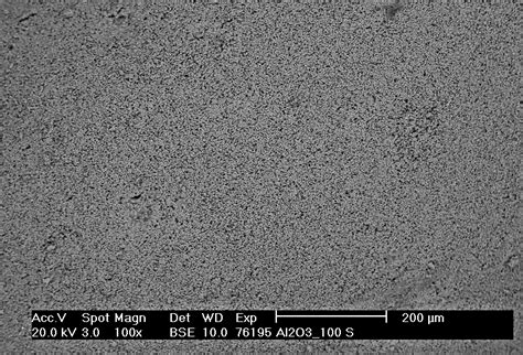 Sem Bse Mode Micrographs Of Al 2 O 3 100 S Beads After Sintering