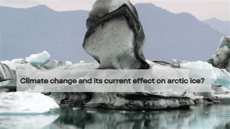 Climate change and its current effect on artic ice - Black Carbon Coalition