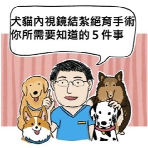 犬貓內視鏡結紮絕育手術你所需要知道的5件事 維康動物醫院