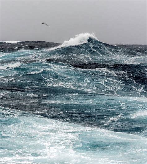 Notorious Drake Passage Has Rough Seas Travel Off Path