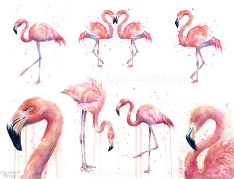 Flamingo Aquarell Flamingo Kunst Flamingo Kunstdruck Rosa Etsy