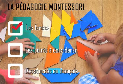 Cche Canadian Centre For Home Education La P Dagogie Montessori