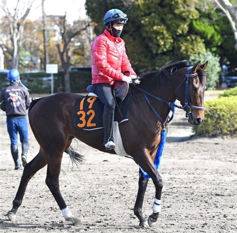 桜花賞tr2勝の手塚厩舎から2歳馬を紹介（21日pogブログ東）競馬・レースデイリースポーツ Online