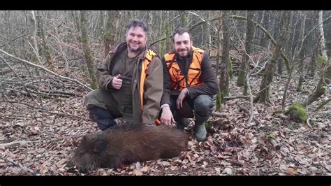 Battue Au Grand Gibier 2019 2020 Jabali Wild Boar YouTube