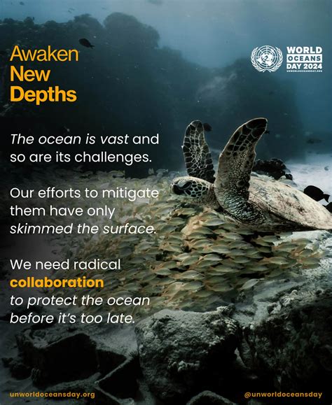 ‘awaken New Depths And Celebrate Un World Oceans Day 2024 Ecowatch