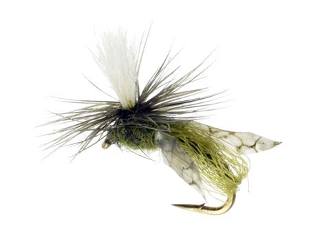 Parachute Caddis Fly Emerger Olive Trout Fly Pattern