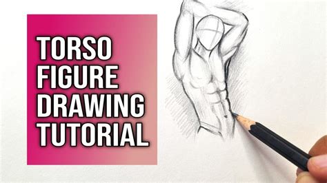 How To Draw Human Figure Sketch Drawing Torso Sketching Tutorial For