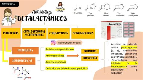 Farmacos Antibioticos Betalactamicos Chegue Ao Topo Sports Bet