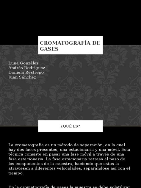 PDF Cromatografía de Gases DOKUMEN TIPS