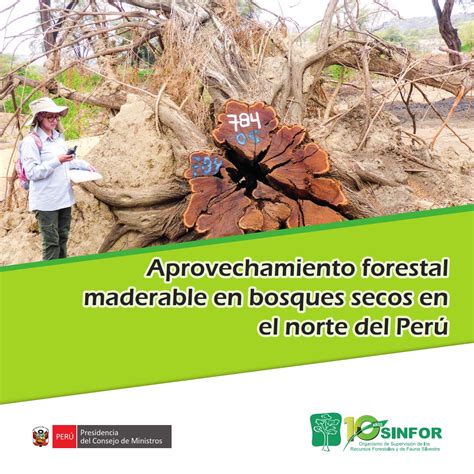 Ingenieria Forestal Documento Aprovechamiento Forestal Maderable En