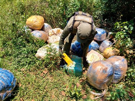 Incautaron más de 400 kilos de marihuana en la zona norte