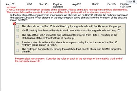 Solved In the first step of the chymotrypsin mechanism, an | Chegg.com