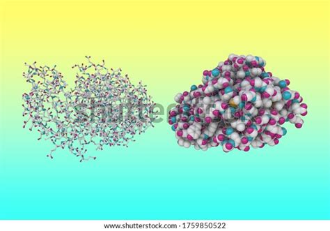 Molecular Model Human Stomach Enzyme Pepsin Stock Illustration