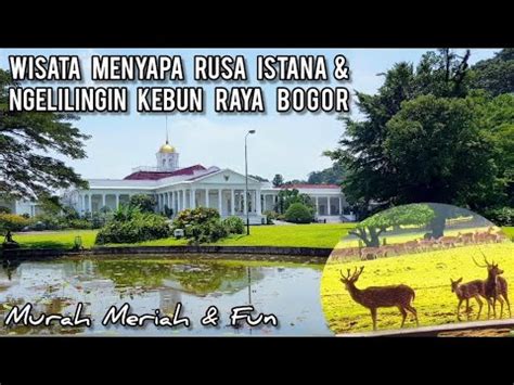 Wisata Rusa Istana Bogor Jalan Santai Ngelilingin Kebun Raya YouTube