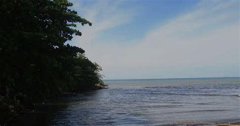 Desembocadura del Río Guanajibo Mayagüez Mapio net