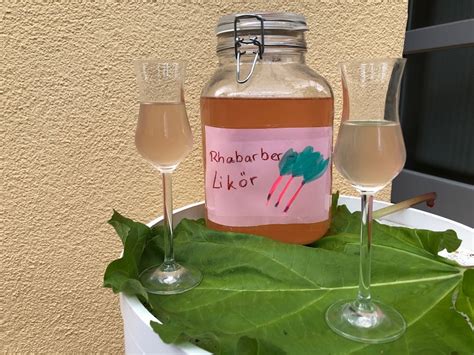 Rhabarber Likör Das einfache Rezept für den köstlichen Drink von der