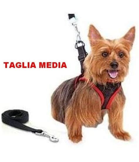 Elegante Pettorina E Guinzaglio Regolabile Per Cane Comfy Control